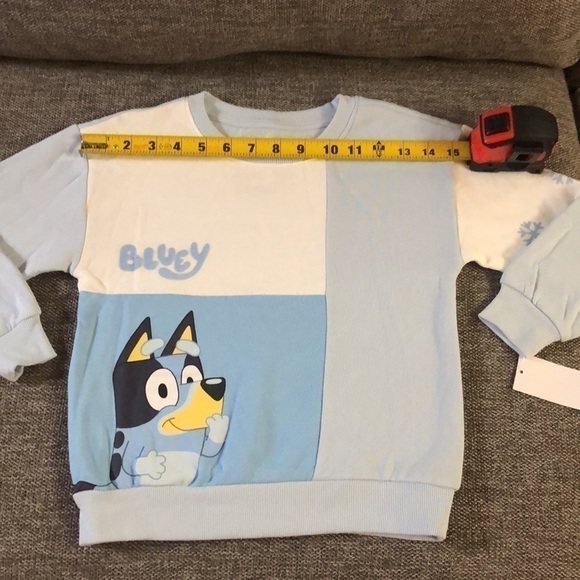 BLUEY Moose Toddler Boy Bluey Sweatshirt Pullover Sweatpants Set Blue 5T - Picture 14 of 16
